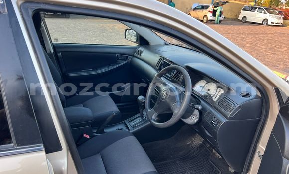 Buy Used Toyota Runx Other Car in Maputo in Maputo Buy Used Toyota Runx Other Car in Maputo in Maputo