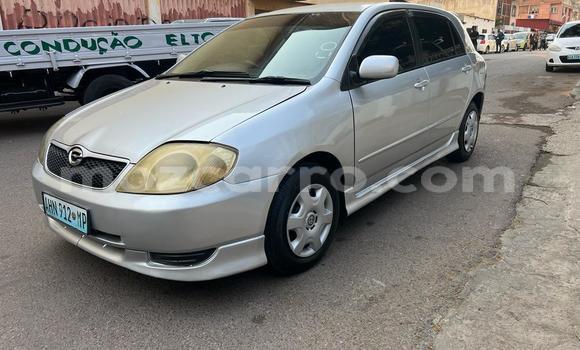 Buy Used Toyota Runx Silver Car in Maputo in Maputo Buy Used Toyota Runx Silver Car in Maputo in Maputo