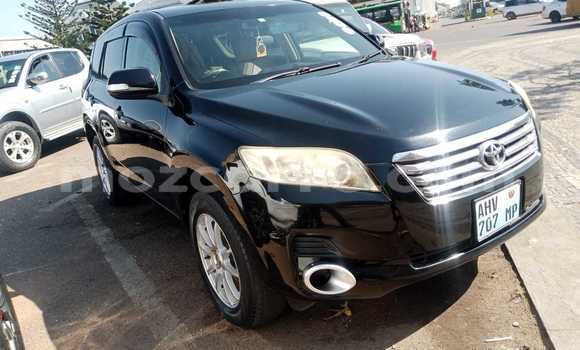 Tenga Tsaru Toyota Vanguard Nhema Mota in Maputo in Maputo Tenga Tsaru Toyota Vanguard Nhema Mota in Maputo in Maputo