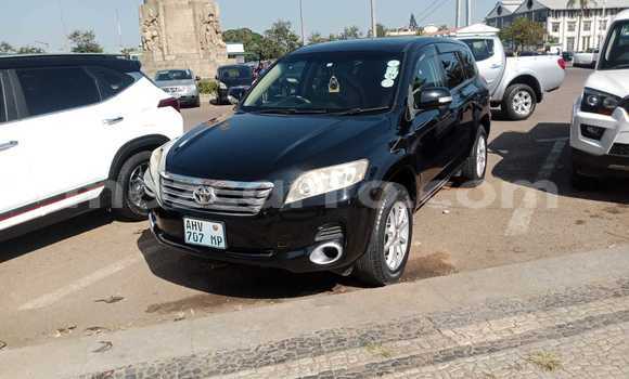 Tenga Tsaru Toyota Vanguard Nhema Mota in Maputo in Maputo Tenga Tsaru Toyota Vanguard Nhema Mota in Maputo in Maputo
