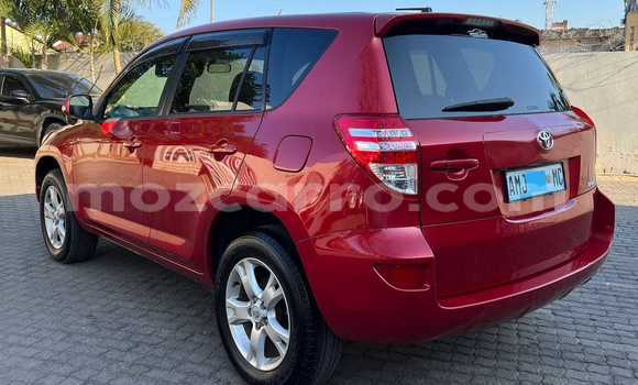 Buy Used Toyota RAV4 Other Car in Maputo in Maputo Buy Used Toyota RAV4 Other Car in Maputo in Maputo