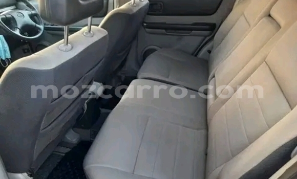 Buy Used Nissan X-Trail Red Car in Maputo in Maputo Buy Used Nissan X-Trail Red Car in Maputo in Maputo