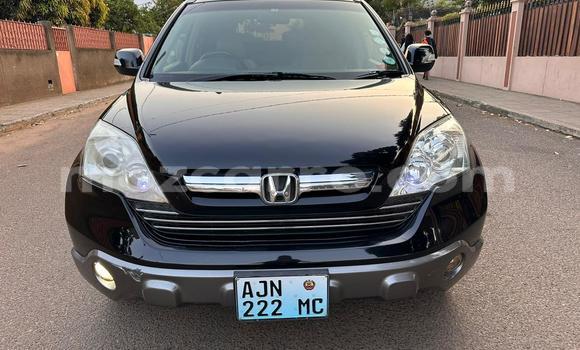 Tenga Tsaru Honda CR-V Nhema Mota in Maputo in Maputo Tenga Tsaru Honda CR-V Nhema Mota in Maputo in Maputo