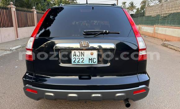 Tenga Tsaru Honda CR-V Nhema Mota in Maputo in Maputo Tenga Tsaru Honda CR-V Nhema Mota in Maputo in Maputo