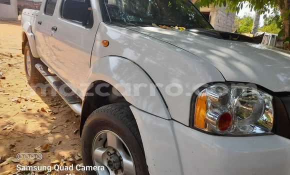 Comprar Usado Nissan Hardbody Branco Carro em Maputo em Maputo Comprar Usado Nissan Hardbody Branco Carro em Maputo em Maputo