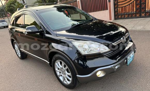 Tenga Tsaru Honda CR-V Nhema Mota in Maputo in Maputo Tenga Tsaru Honda CR-V Nhema Mota in Maputo in Maputo