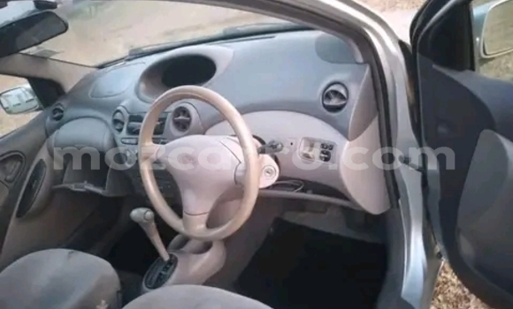 Buy Used Toyota Platz Other Car in Maputo in Maputo Buy Used Toyota Platz Other Car in Maputo in Maputo