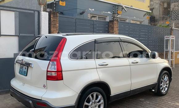 Nunua Ilio tumika Honda CR-V Nyeupe Gari ndani ya Maputo nchini Maputo Nunua Ilio tumika Honda CR-V Nyeupe Gari ndani ya Maputo nchini Maputo