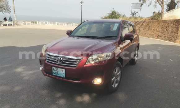 Buy Used Toyota Vanguard Red Car in Maputo in Maputo