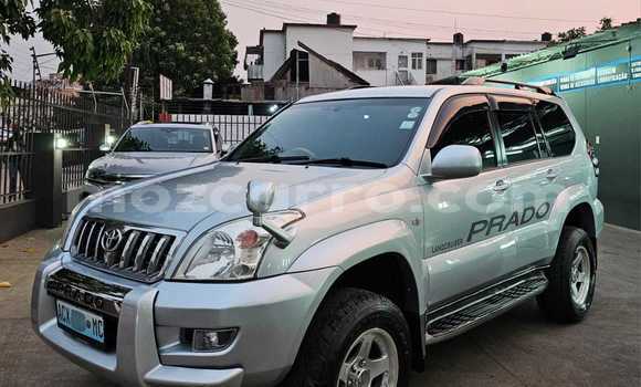 Tenga Tsaru Toyota Prado Zvimwe Mota in Maputo in Maputo