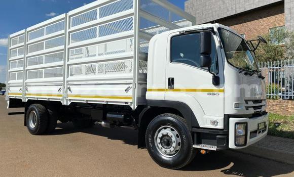 Comprar Usado Isuzu FTR 850 Branco Caminhão em Maputo em Maputo Comprar Usado Isuzu FTR 850 Branco Caminhão em Maputo em Maputo