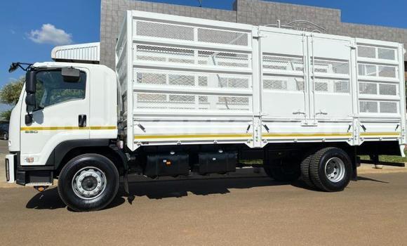 Comprar Usado Isuzu FTR 850 Branco Caminhão em Maputo em Maputo Comprar Usado Isuzu FTR 850 Branco Caminhão em Maputo em Maputo