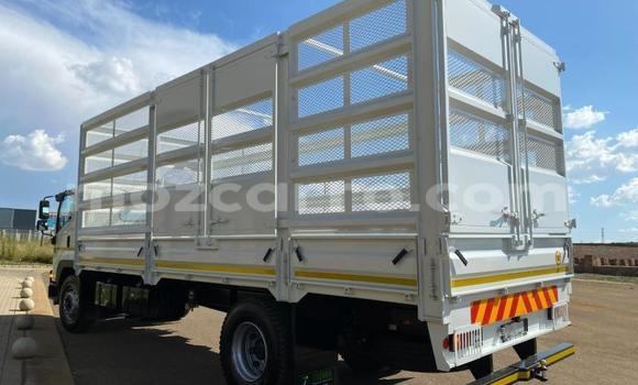Comprar Usado Isuzu FTR 850 Branco Caminhão em Maputo em Maputo Comprar Usado Isuzu FTR 850 Branco Caminhão em Maputo em Maputo