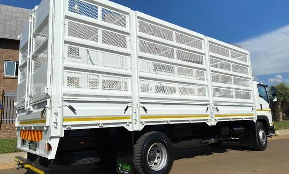 Comprar Usado Isuzu FTR 850 Branco Caminhão em Maputo em Maputo Comprar Usado Isuzu FTR 850 Branco Caminhão em Maputo em Maputo