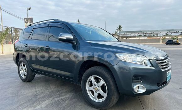 Buy Used Toyota Vanguard Other Car in Maputo in Maputo Buy Used Toyota Vanguard Other Car in Maputo in Maputo