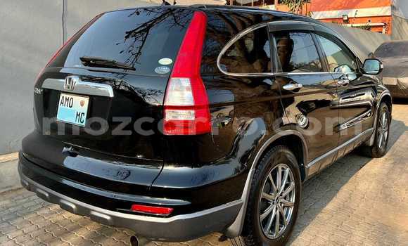 Nunua Ilio tumika Honda CR-V Nyingine Gari ndani ya Maputo nchini Maputo Nunua Ilio tumika Honda CR-V Nyingine Gari ndani ya Maputo nchini Maputo