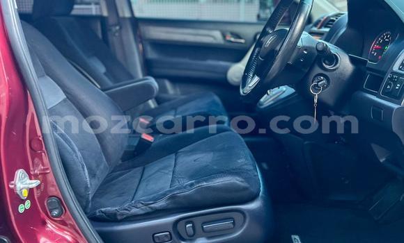 Nunua Ilio tumika Honda CR-V Nyekundu Gari ndani ya Maputo nchini Maputo Nunua Ilio tumika Honda CR-V Nyekundu Gari ndani ya Maputo nchini Maputo