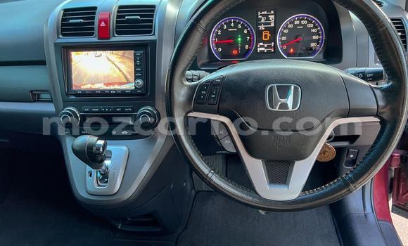 Buy Used Honda CR-V Red Car in Maputo in Maputo Buy Used Honda CR-V Red Car in Maputo in Maputo