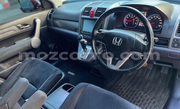 Buy Used Honda CR-V Red Car in Maputo in Maputo Buy Used Honda CR-V Red Car in Maputo in Maputo