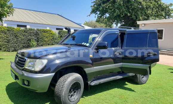 Tenga Tsaru Toyota Land Cruiser Bhuruu Mota in Maputo in Maputo