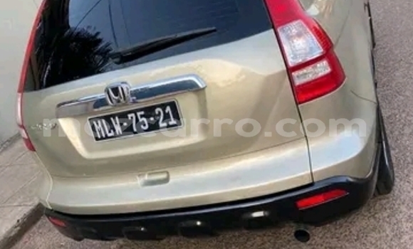 Buy Used Honda CR-V Other Car in Maputo in Maputo Buy Used Honda CR-V Other Car in Maputo in Maputo