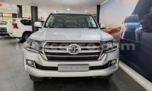 Comprar Usado Toyota Land Cruiser Branco Carro em Maputo em Maputo Comprar Usado Toyota Land Cruiser Branco Carro em Maputo em Maputo