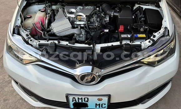 Tenga Tsaru Toyota Auris Zvimwe Mota in Maputo in Maputo Tenga Tsaru Toyota Auris Zvimwe Mota in Maputo in Maputo