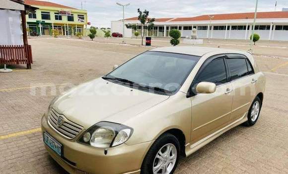 Nunua Ilio tumika Toyota Allex Nyingine Gari ndani ya Maputo nchini Maputo
