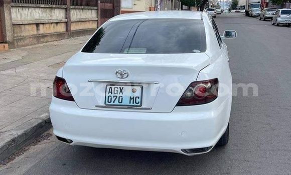 Tenga Tsaru Toyota Mark X Chena Mota in Maputo in Maputo Tenga Tsaru Toyota Mark X Chena Mota in Maputo in Maputo