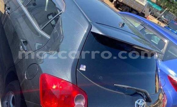 Tenga Tsaru Toyota Auris Bhuruu Mota in Maputo in Maputo Tenga Tsaru Toyota Auris Bhuruu Mota in Maputo in Maputo