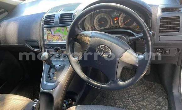 Tenga Tsaru Toyota Blade Zvimwe Mota in Maputo in Maputo Tenga Tsaru Toyota Blade Zvimwe Mota in Maputo in Maputo