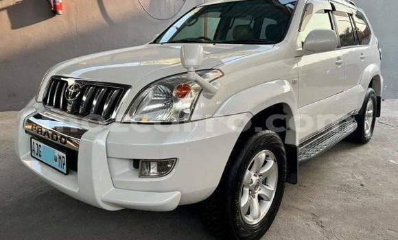 Tenga Tsaru Toyota Land Cruiser Chena Mota in Maputo in Maputo