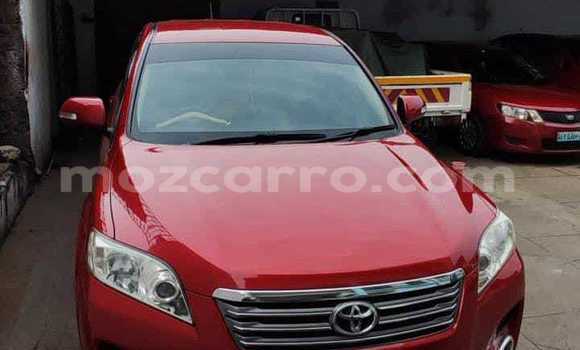 Tenga Tsaru Toyota Vanguard Zvimwe Mota in Maputo in Maputo Tenga Tsaru Toyota Vanguard Zvimwe Mota in Maputo in Maputo