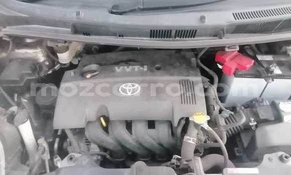 Buy Used Toyota Ractis Brown Car in Maputo in Maputo Buy Used Toyota Ractis Brown Car in Maputo in Maputo