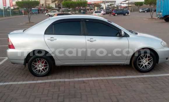 Buy Used Toyota Corolla Other Car in Maputo in Maputo