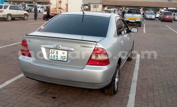 Buy Used Toyota Corolla Other Car in Maputo in Maputo Buy Used Toyota Corolla Other Car in Maputo in Maputo