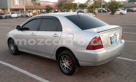 Buy Used Toyota Corolla Other Car in Maputo in Maputo Buy Used Toyota Corolla Other Car in Maputo in Maputo