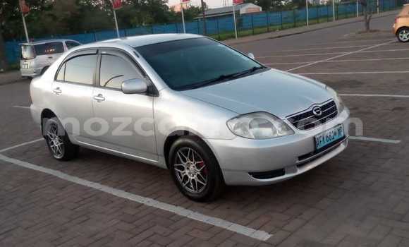 Buy Used Toyota Corolla Other Car in Maputo in Maputo Buy Used Toyota Corolla Other Car in Maputo in Maputo