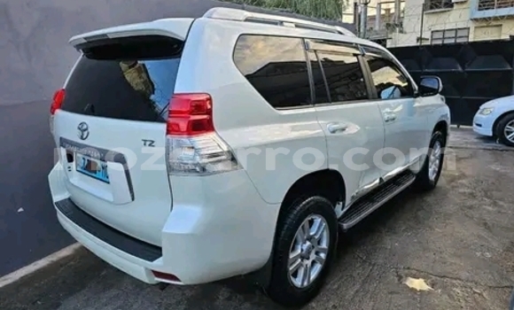 Tenga Tsaru Toyota Land Cruiser Prado Chena Mota in Maputo in Maputo Tenga Tsaru Toyota Land Cruiser Prado Chena Mota in Maputo in Maputo