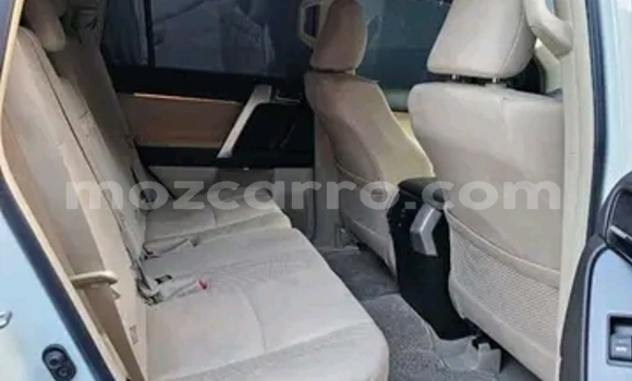 Tenga Tsaru Toyota Land Cruiser Prado Chena Mota in Maputo in Maputo Tenga Tsaru Toyota Land Cruiser Prado Chena Mota in Maputo in Maputo