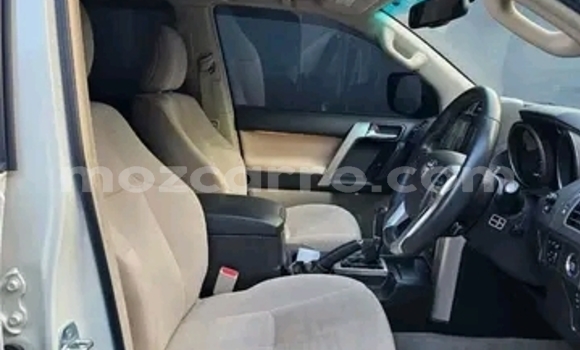 Tenga Tsaru Toyota Land Cruiser Prado Chena Mota in Maputo in Maputo Tenga Tsaru Toyota Land Cruiser Prado Chena Mota in Maputo in Maputo