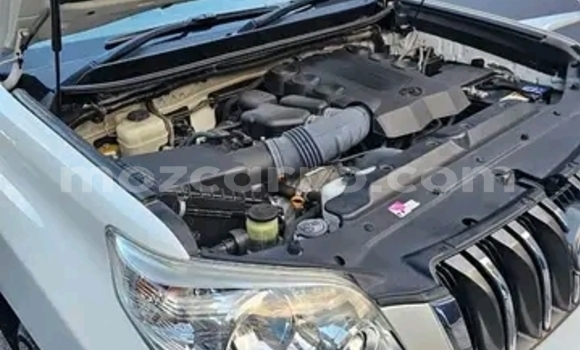 Tenga Tsaru Toyota Land Cruiser Prado Chena Mota in Maputo in Maputo Tenga Tsaru Toyota Land Cruiser Prado Chena Mota in Maputo in Maputo