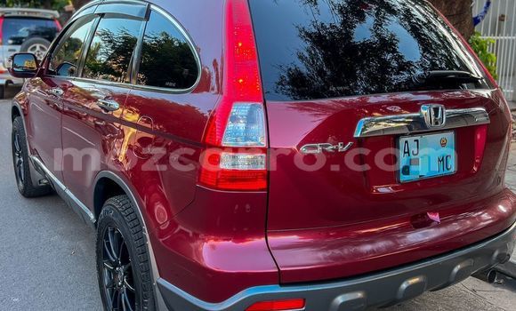 Buy Used Honda CR-V Red Car in Maputo in Maputo Buy Used Honda CR-V Red Car in Maputo in Maputo