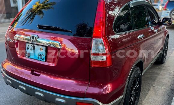 Buy Used Honda CR-V Red Car in Maputo in Maputo Buy Used Honda CR-V Red Car in Maputo in Maputo
