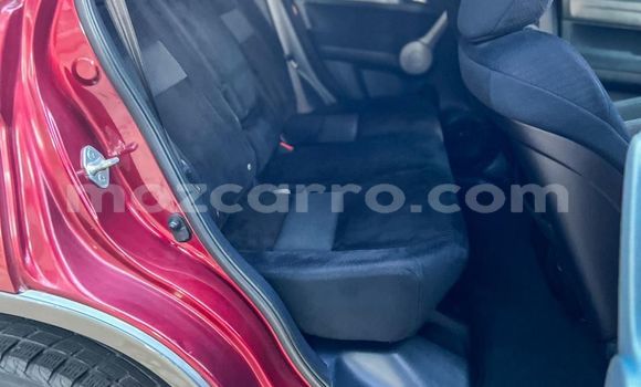 Buy Used Honda CR-V Red Car in Maputo in Maputo Buy Used Honda CR-V Red Car in Maputo in Maputo