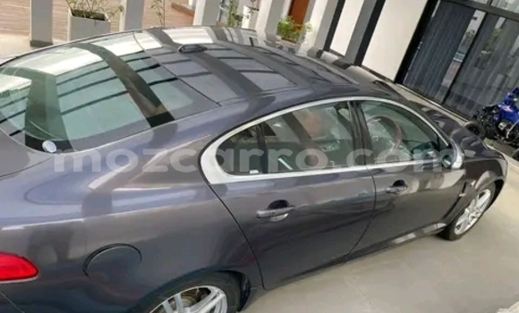 Buy Used Jaguar XF Other Car in Maputo in Maputo Buy Used Jaguar XF Other Car in Maputo in Maputo