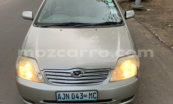 Comprar Usado Toyota Corolla Castanho Carro em Moçambique em Nampula
