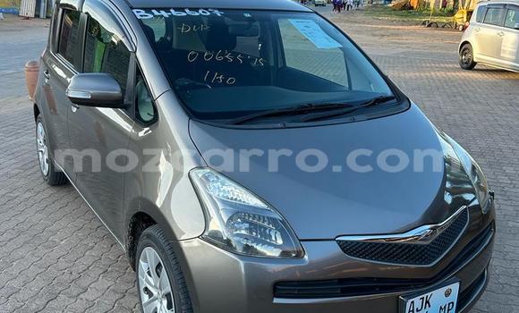 Comprar Usado Toyota Ractis Castanho Carro em Maputo em Maputo Comprar Usado Toyota Ractis Castanho Carro em Maputo em Maputo