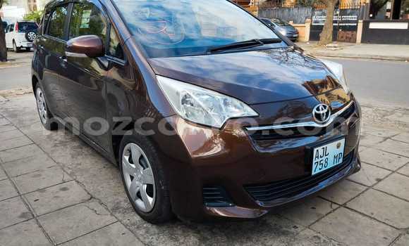 Comprar Usado Toyota Ractis Castanho Carro em Moçambique em Nampula Comprar Usado Toyota Ractis Castanho Carro em Moçambique em Nampula