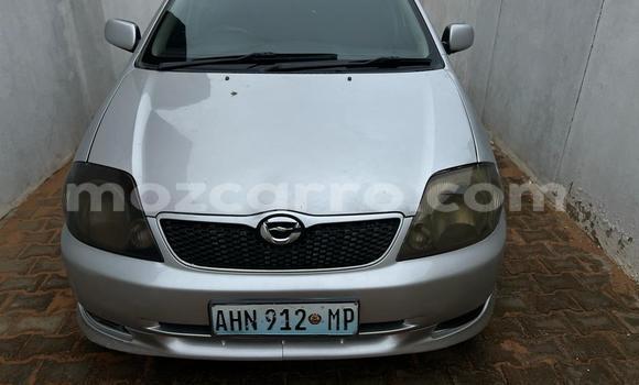 Comprar Usado Toyota Runx Prata Carro em Maputo em Maputo Comprar Usado Toyota Runx Prata Carro em Maputo em Maputo